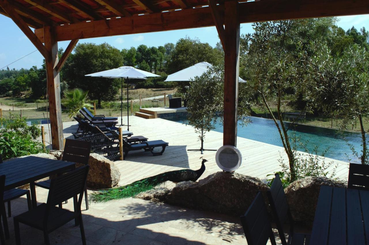 Quinta Castanheira Santa Comba Dao Exterior foto